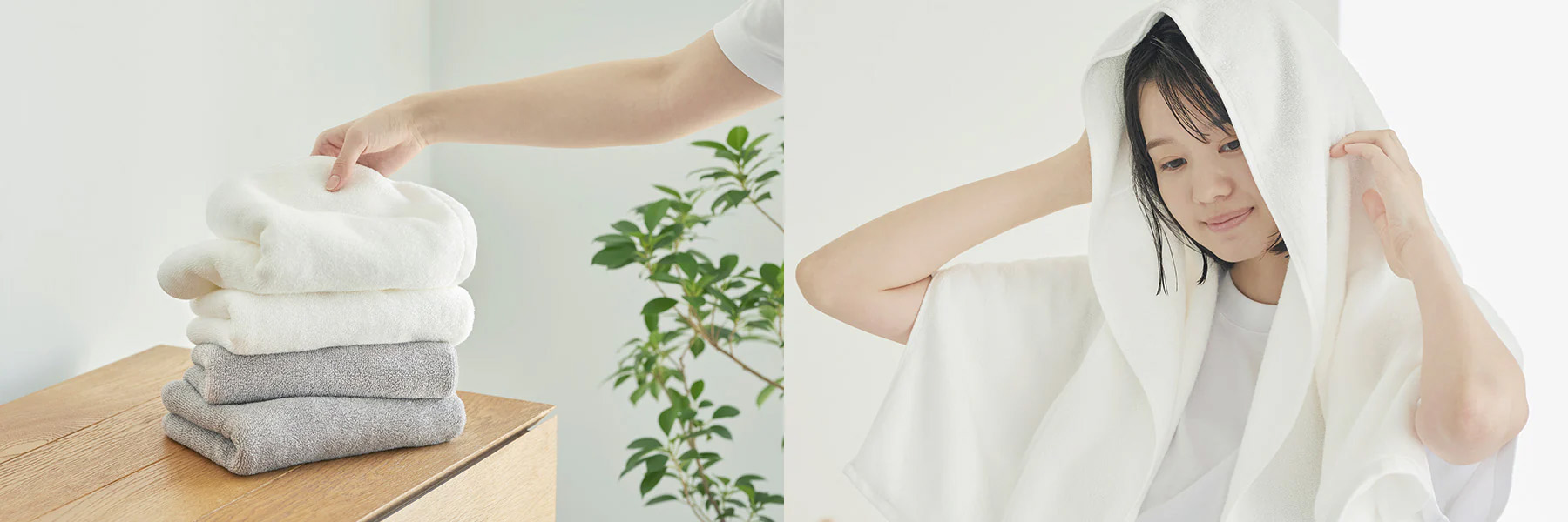 Household Daily Necessities -Household Daily Necessities 2