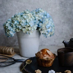 Marble Planter 9 Marble Planter -Household Daily Necessities marble planter2