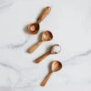 Mini Spice Spoon Set 2 Mini Spice Spoon Set -Household Daily Necessities mini spice spoon