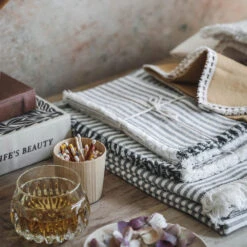 Striped Cotton Placemat Set